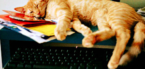 Hero facebook-insights-how-metrics-can-lead-to-better-recruiting-employer-branding-and-napping