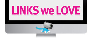 links we-love v2 camera