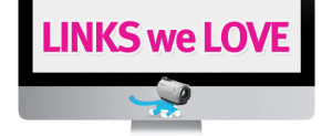 links we-love v2 camera