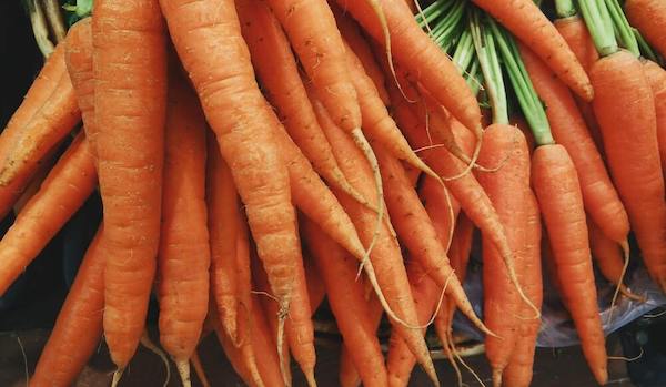 Carrots A bunch of carrots hanging together.