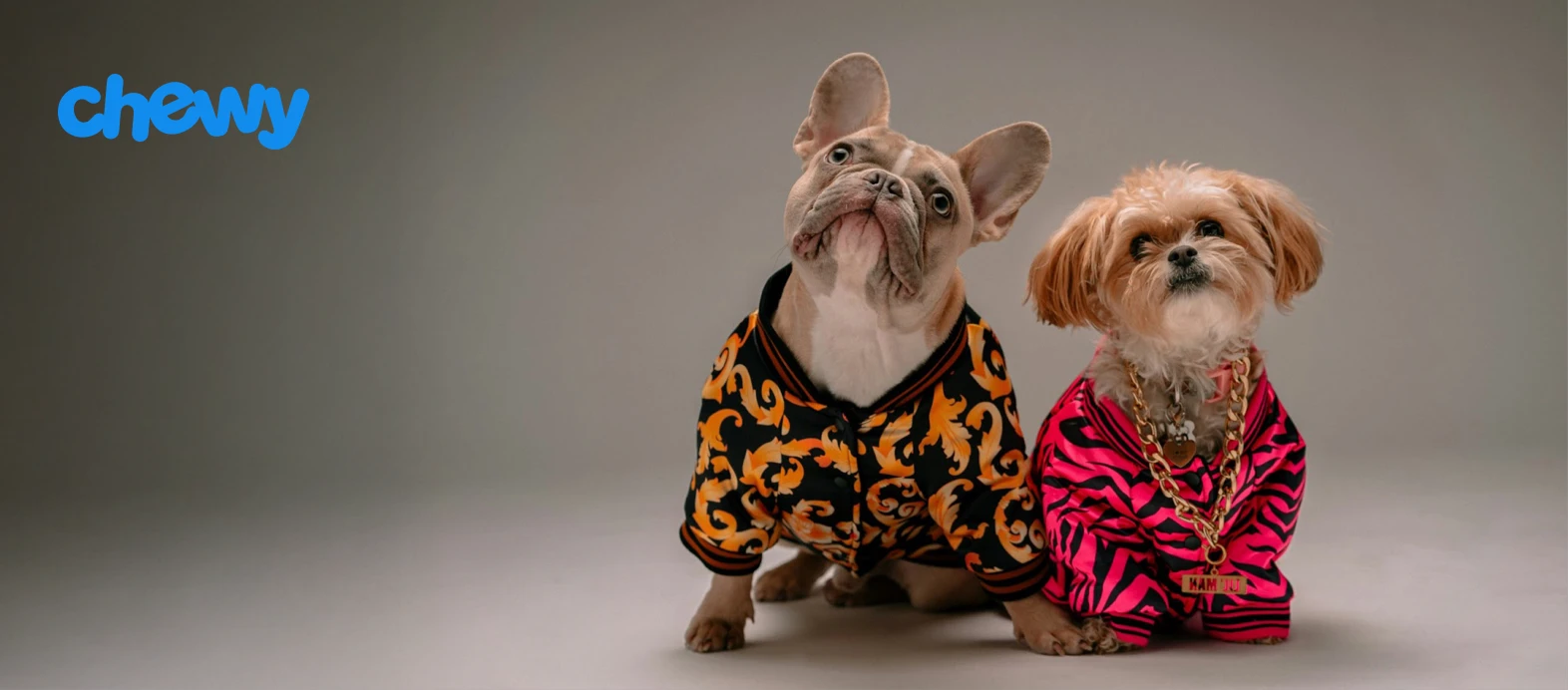 Pet Parenting Made Easy and 5% Cash Back at Chewy