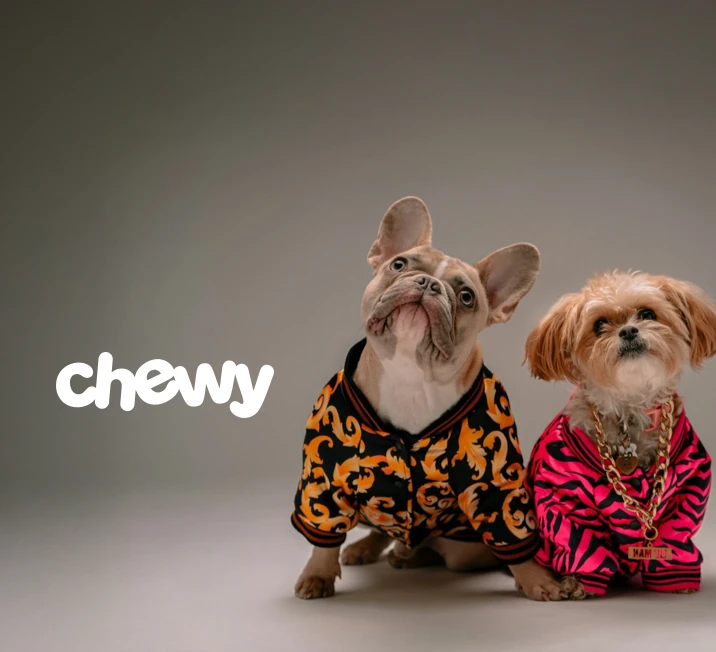 Pet Parenting Made Easy and 5% Cash Back at Chewy