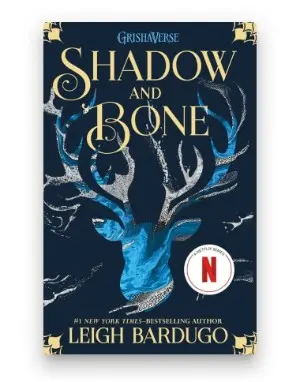 14-thumbnail-book-380x484-shadow-and-bone-2x