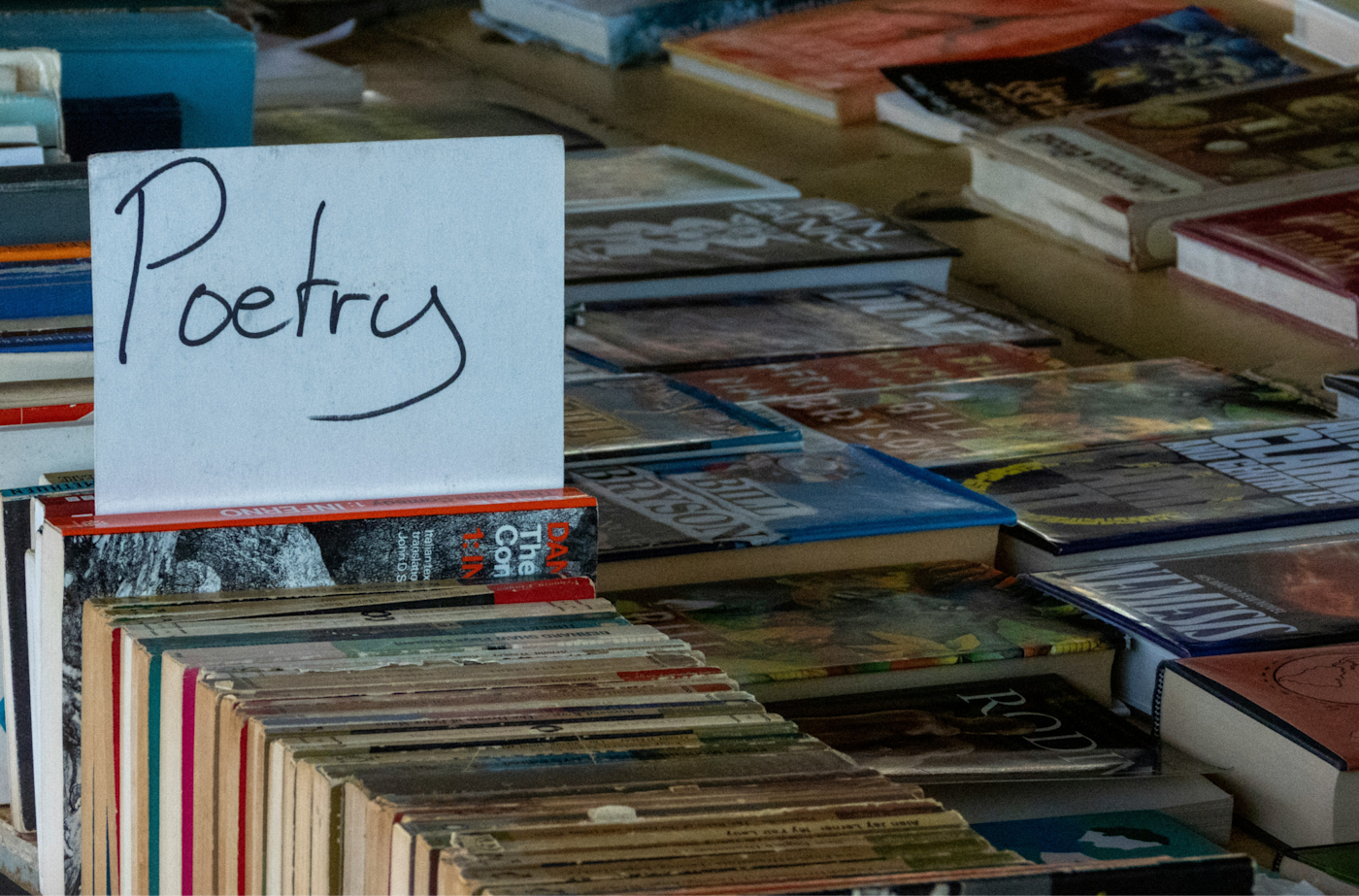 Novels in verse