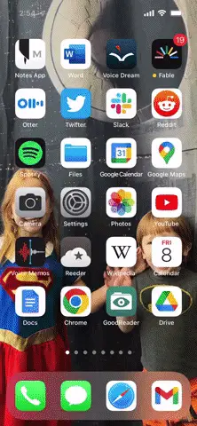 Wheel of Time Bookshelf