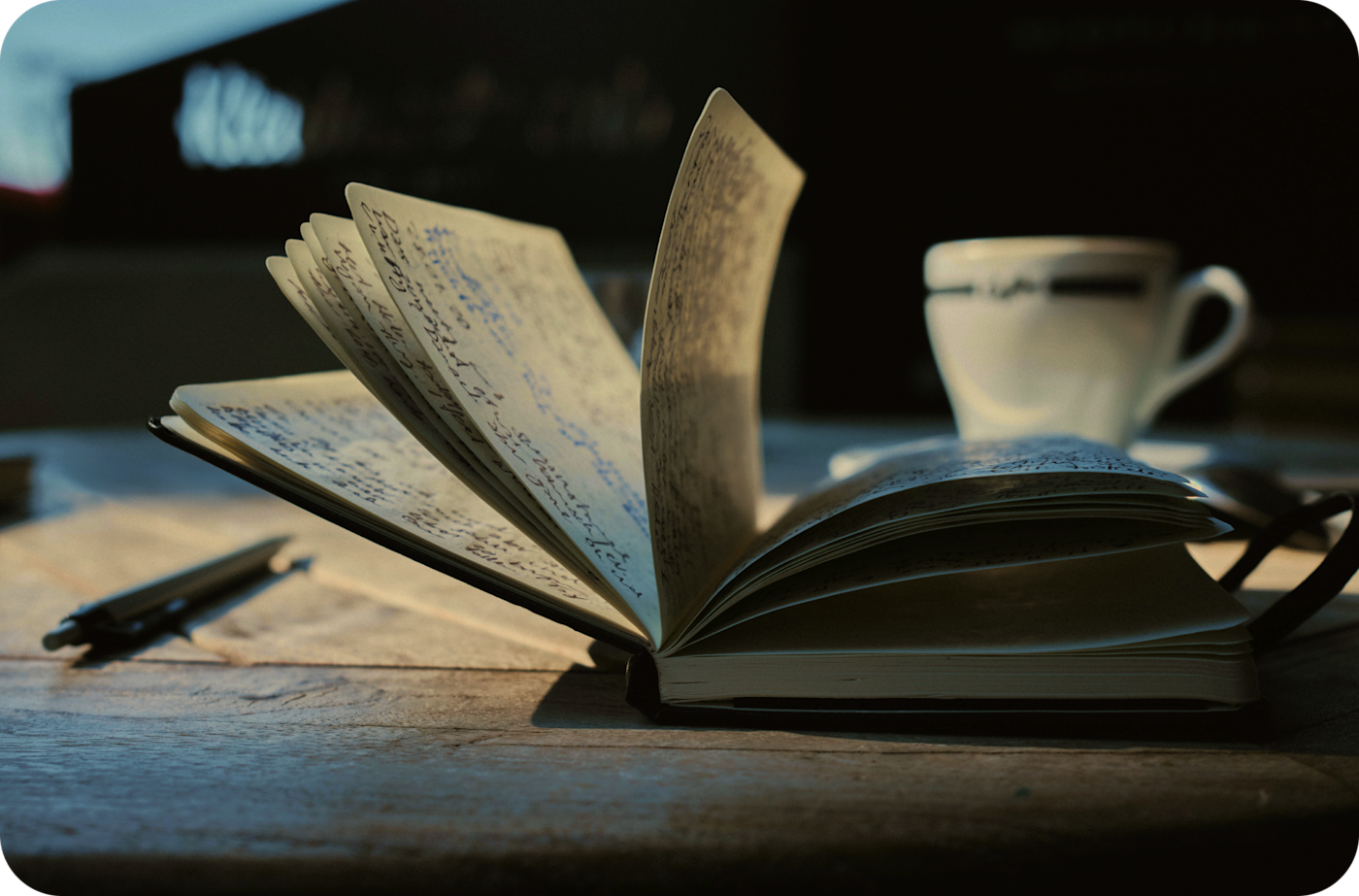 NaNoWriMo