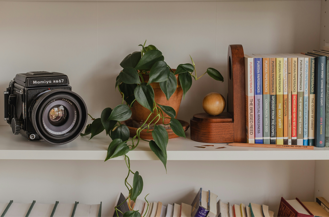 Bookshelf organization 
