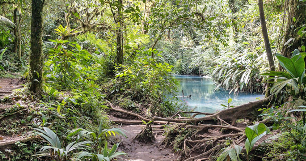 Tenorio Volcano National Park Costa Rica – Río Celeste & Hiking Tips