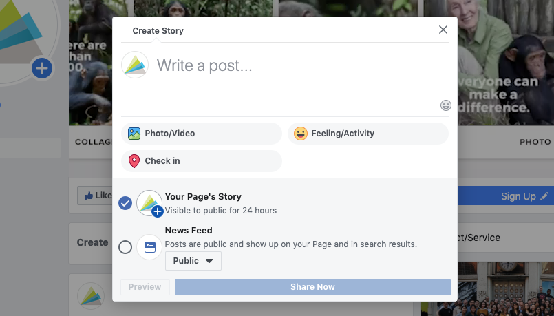 Guide to Facebook Stories for Business - Animoto