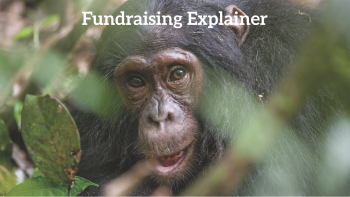 Fundraising Explainer