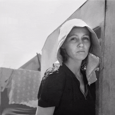 14 Photography Quotes: Dorothea Lange
