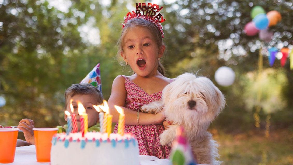 how to make a birthday video with photos and music free