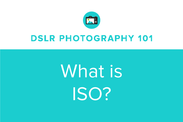 DSLR Photography 101: What is ISO?