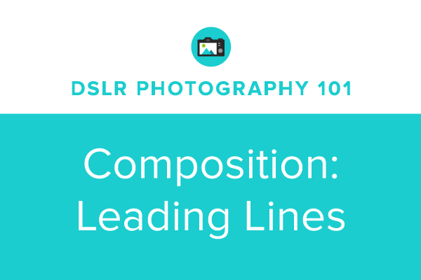 DSLR Photography 101: Leading Lines
