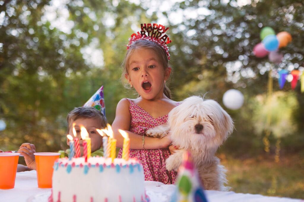 birthday songs for dogs