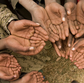 Non-Profits and Video: Animoto for a Cause 101