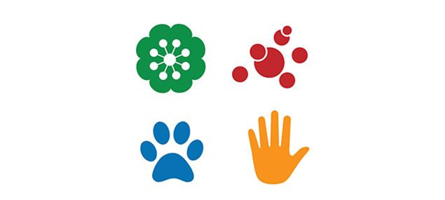 Different types of allergy