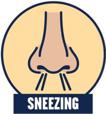 The BENADRYL® Difference: Show allergy symptoms who’s boss
