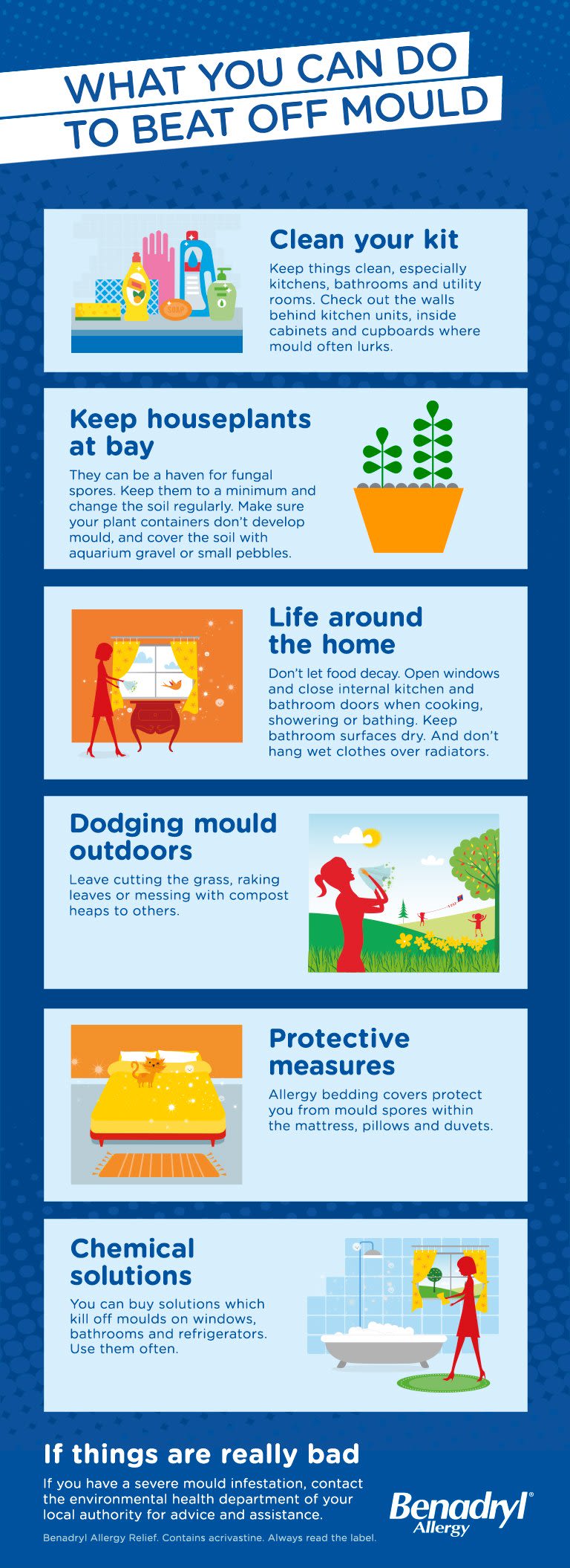 Mould Infographic