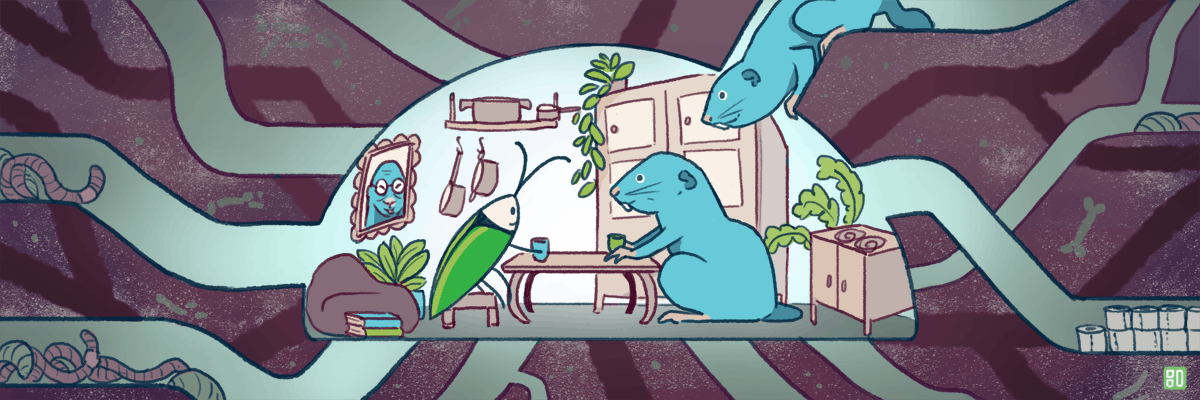 Survey of rounding implementations in Go