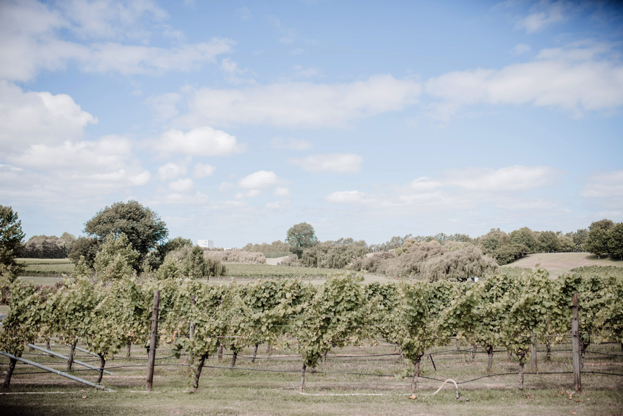 Junggesellenabschied Rheinland-Pfalz - Weingut in Neuseeland - Levien Lens Photography