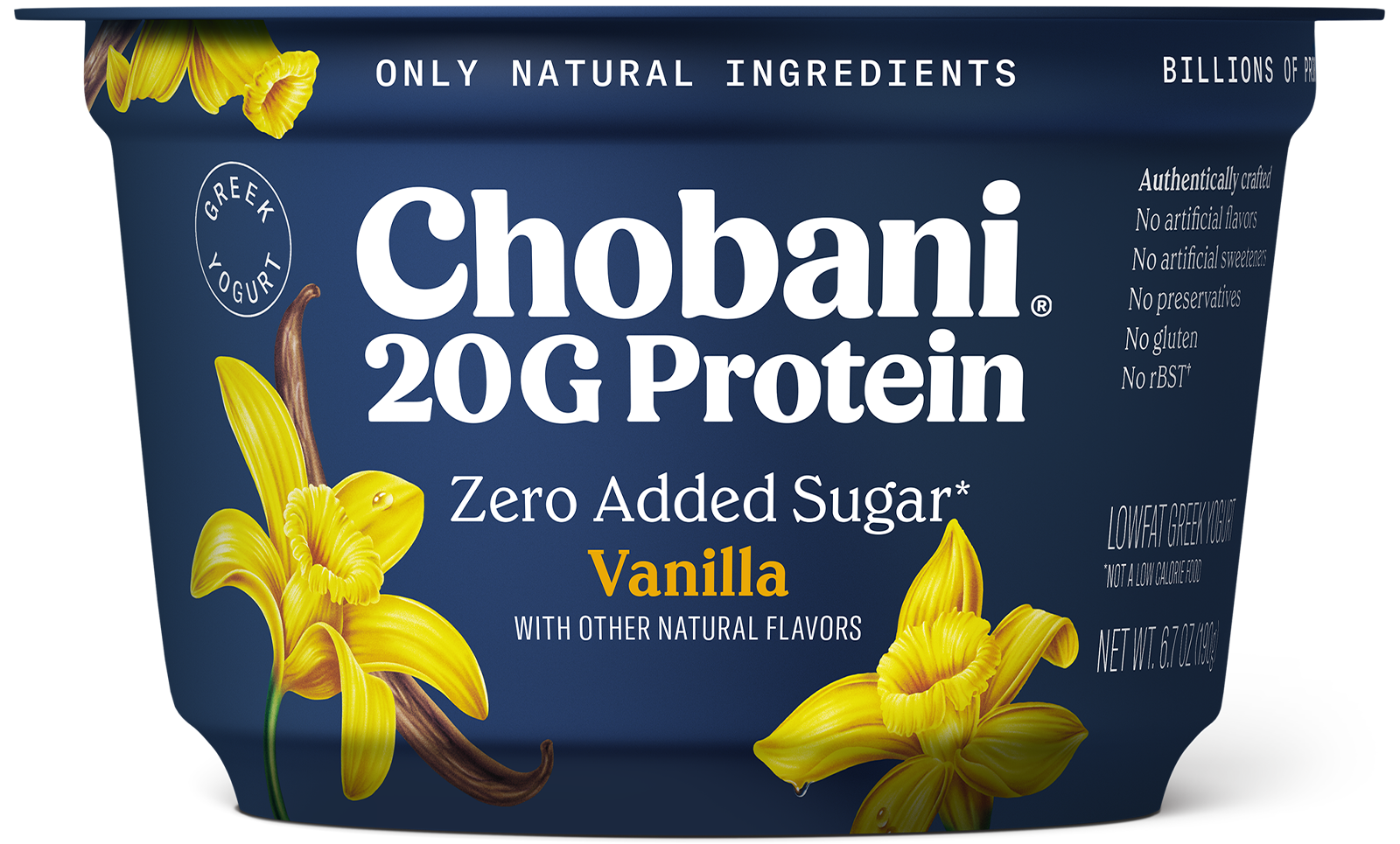 20g High Protein Greek Yogurt | Vanilla