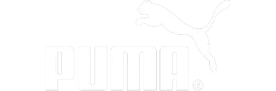 Puma is a customer of Perform.AI