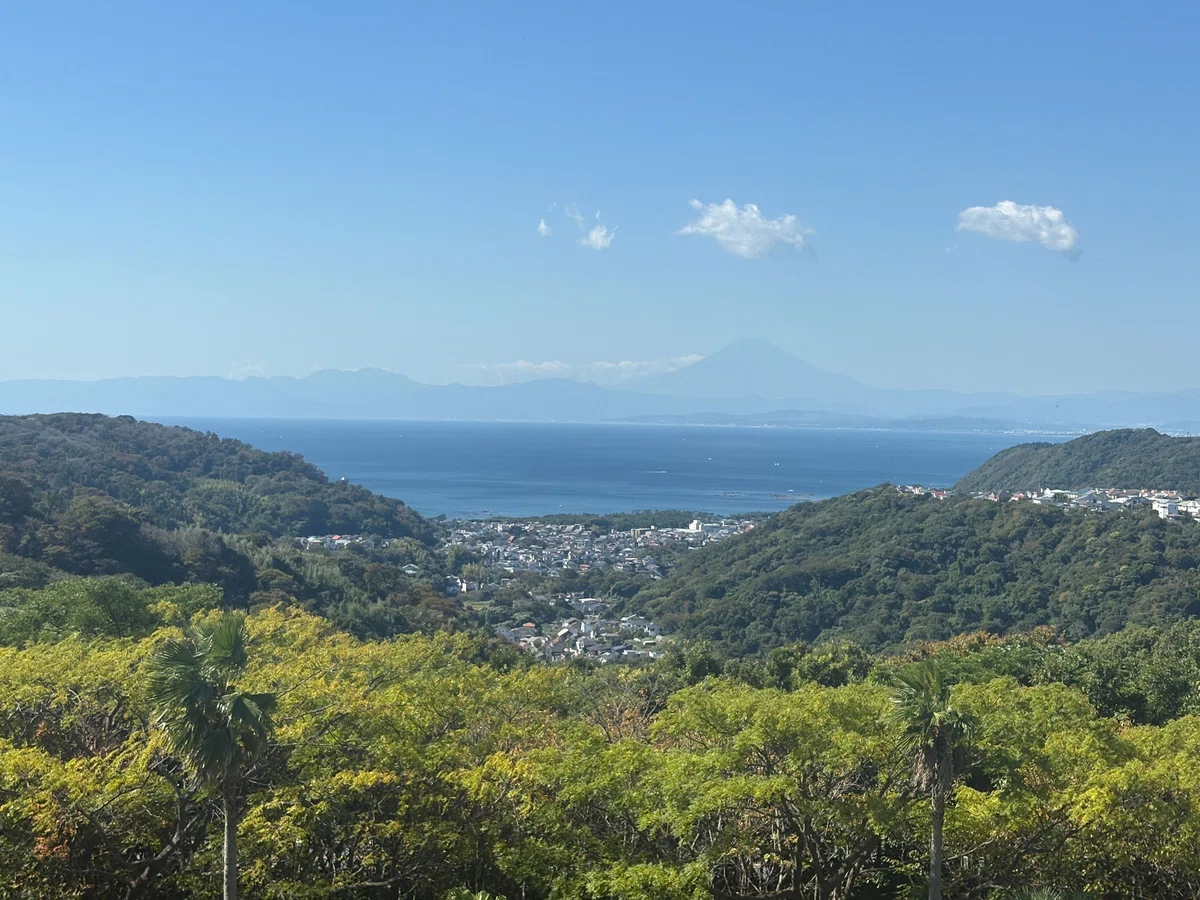 合宿会場から見える葉山の絶景。晴れやかな気持ちで合宿がスタートしました。