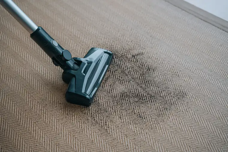 Janitor - Stain on Carpet