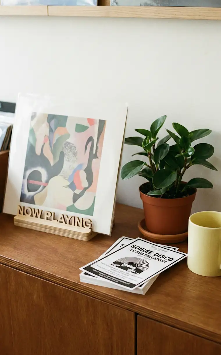 Arts Entertainment-portrait-record shop- display