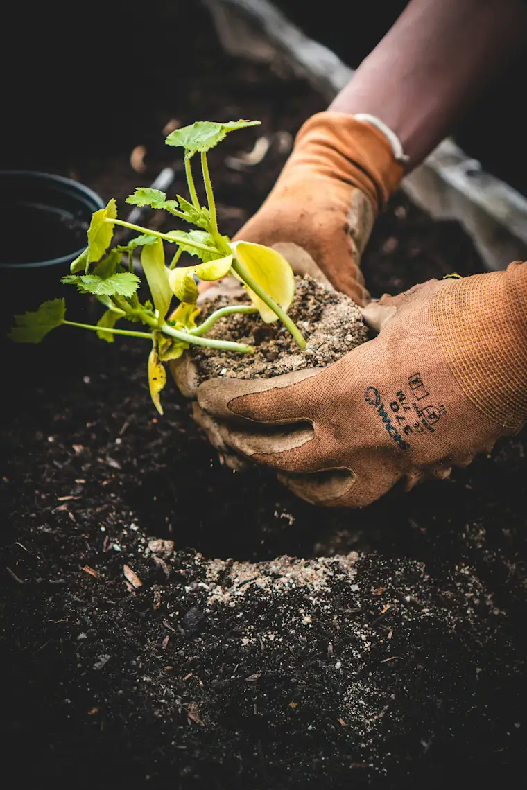Gardener - plant