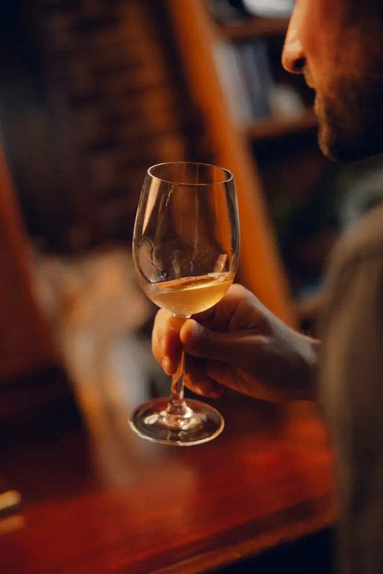 French Wine Shop - wine tasting