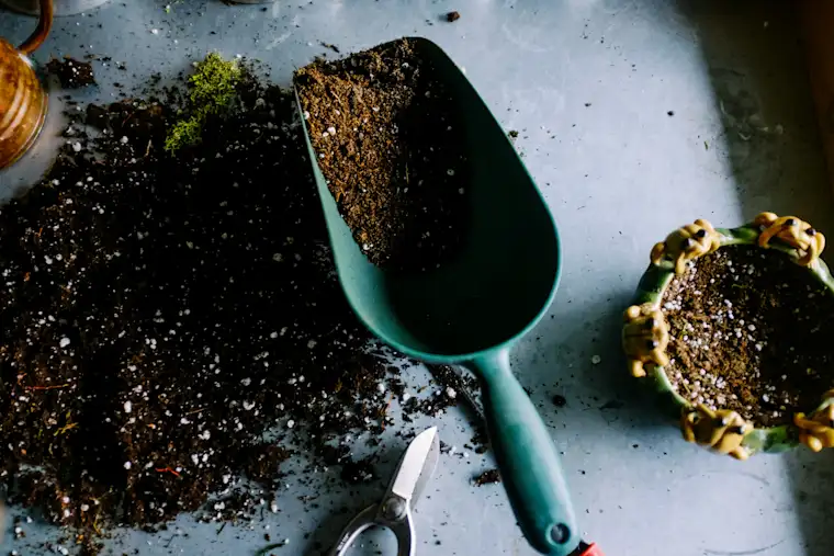 Gardener - Dirt in shovel