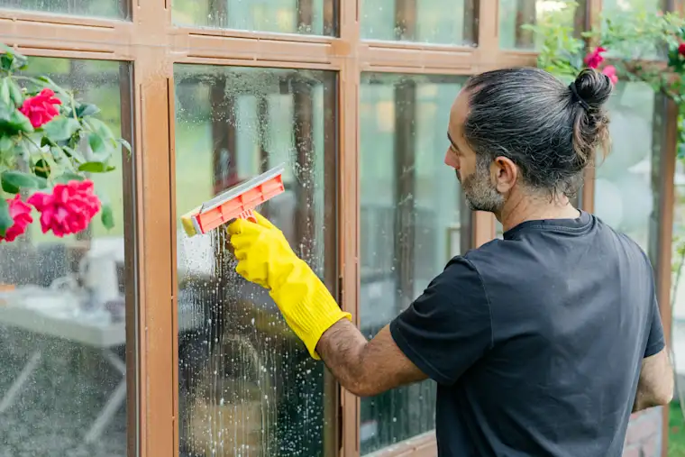 Facade cleaner - header