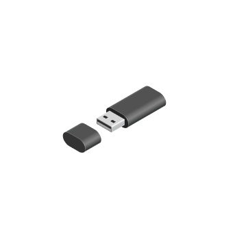 Icon: USB Stick fotografen