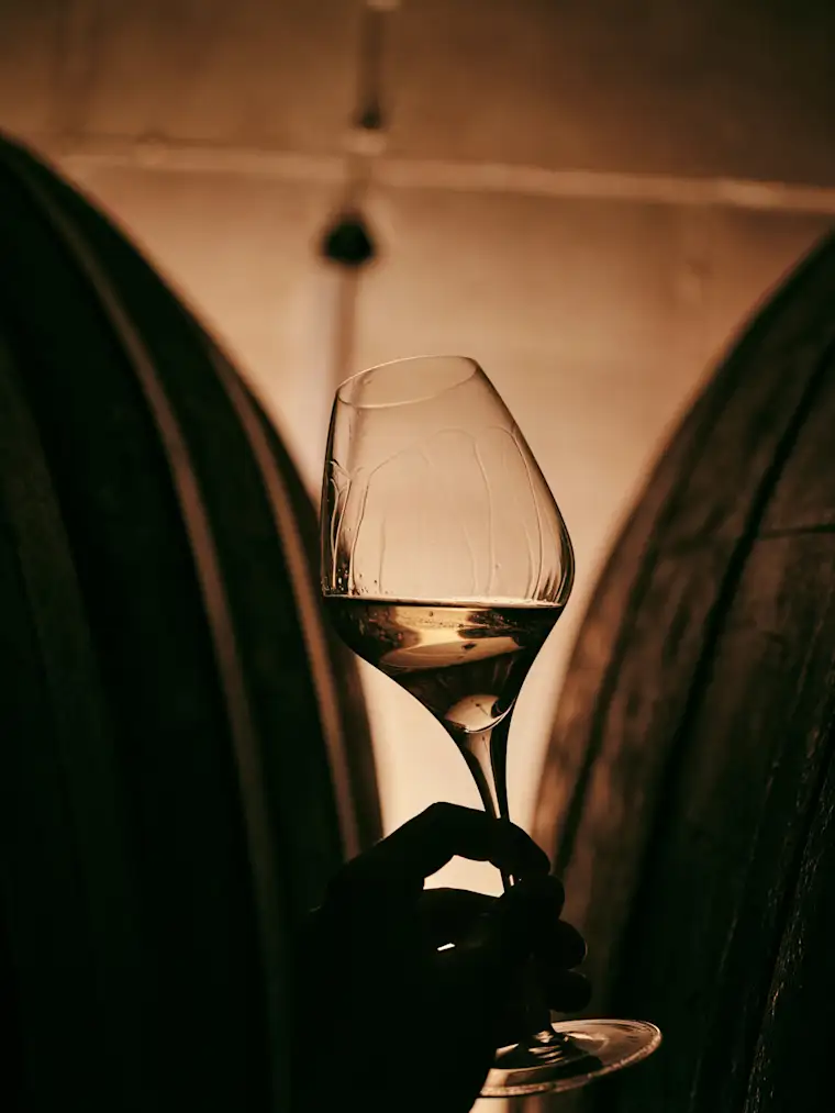 French Wine Shop - Wine Glass