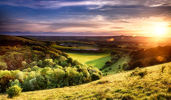 Sunset on Winchester hill in the South Downs