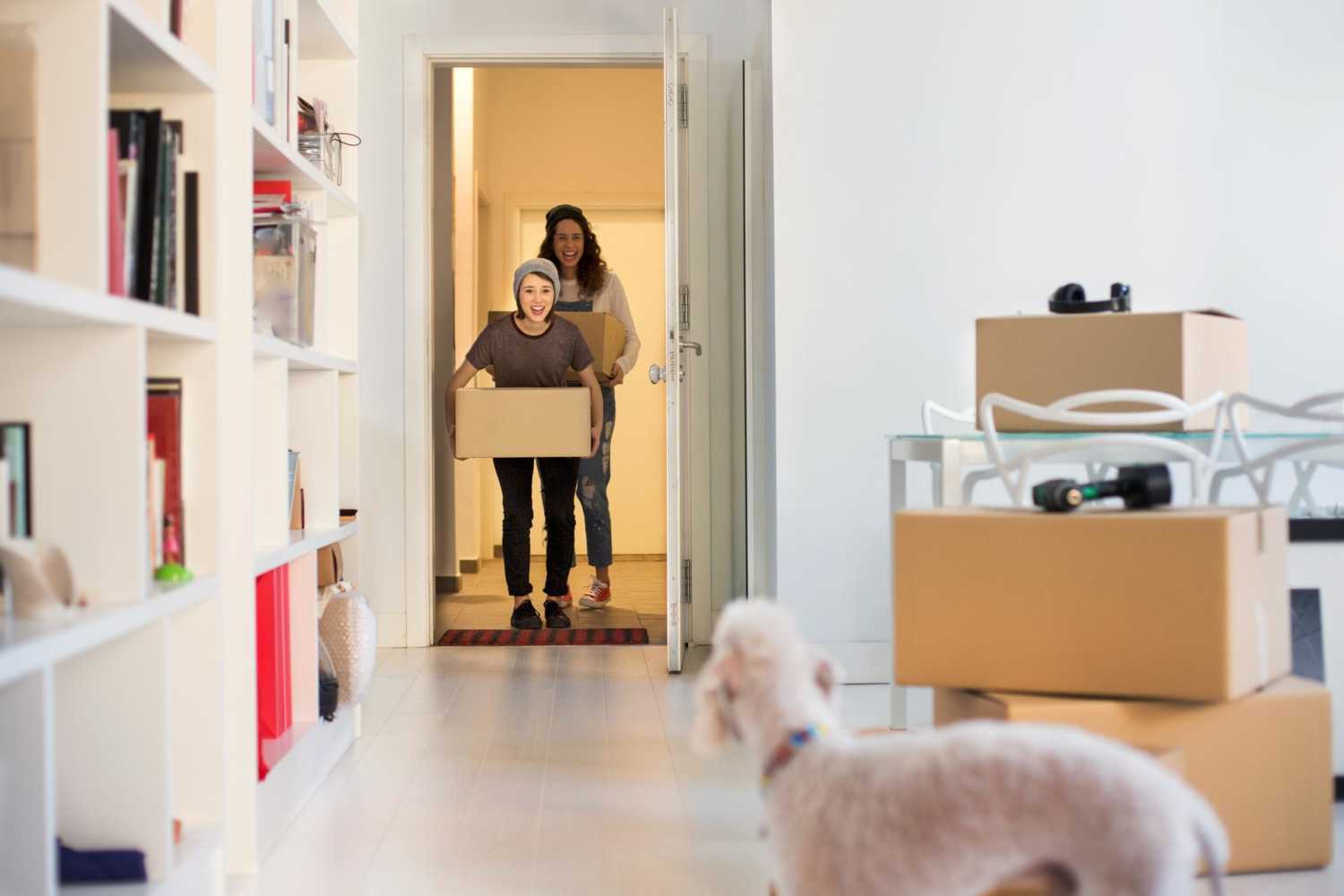 Women moving in to new home, dog greeting them