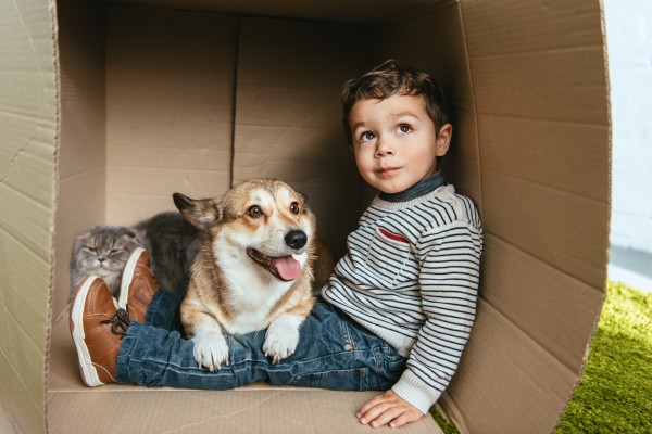A boy sitting in a cardboard box with his pet dog