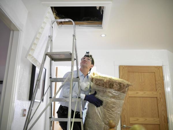 A man climbing a ladder into an attic holding a roll of insulation