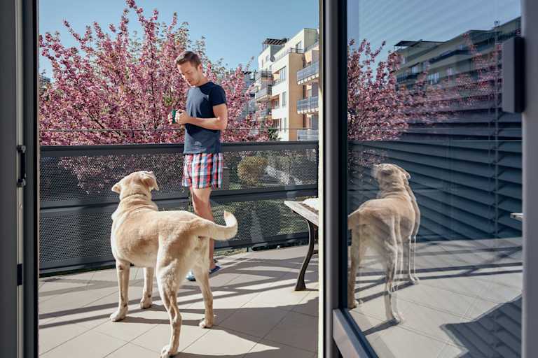 A man standing on his balcony with his dog