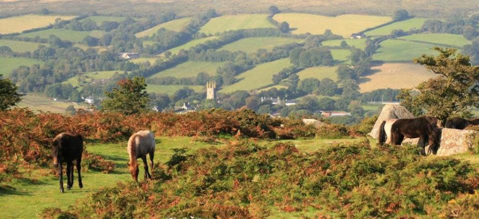 Moving to Devon - Zoopla