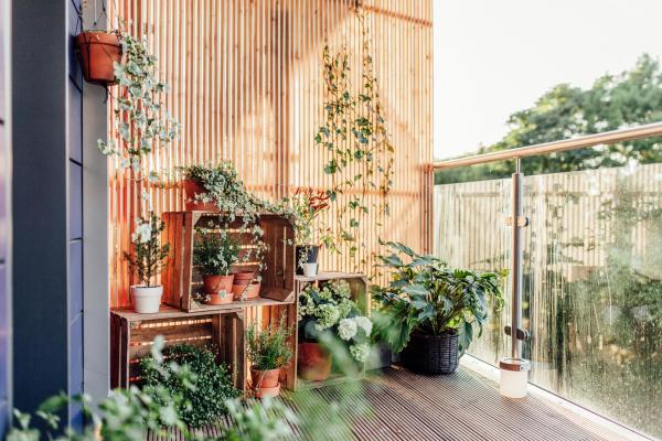 Balcony on a new-build home with plants and greenery