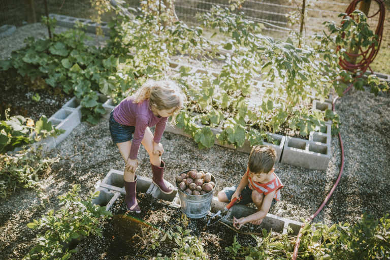 Two children planting in the garden together.