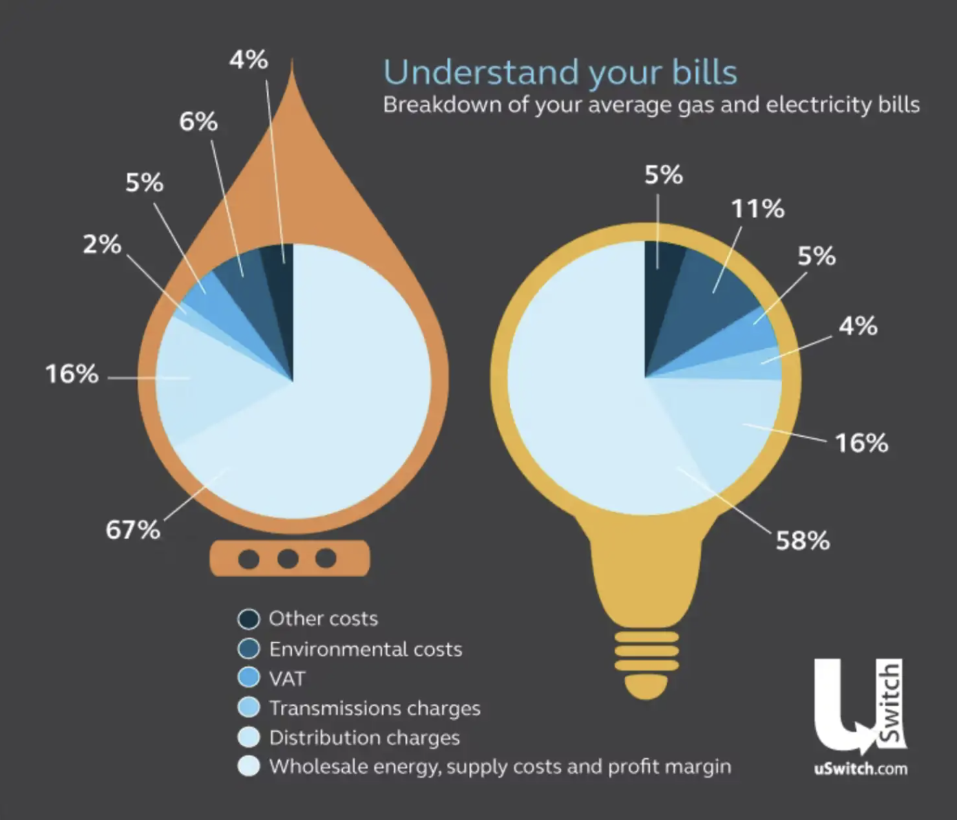 A diagram showing the percentage of gas and electricity bills charged to cover different things