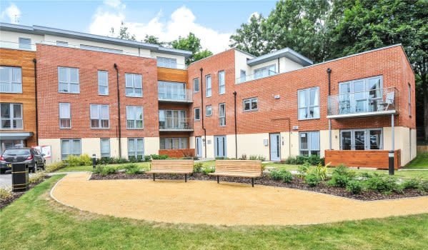 Modern flats for rent 