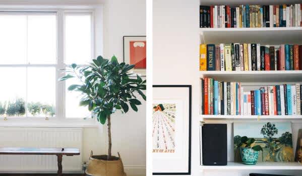 Shelves with plants and books