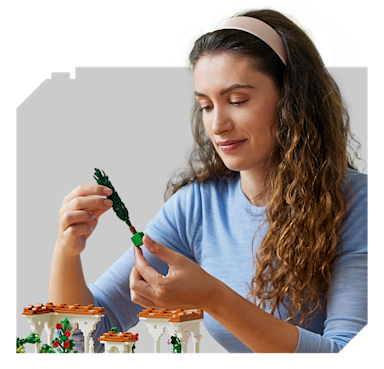 LEGO Shop - Shop by Age Adult