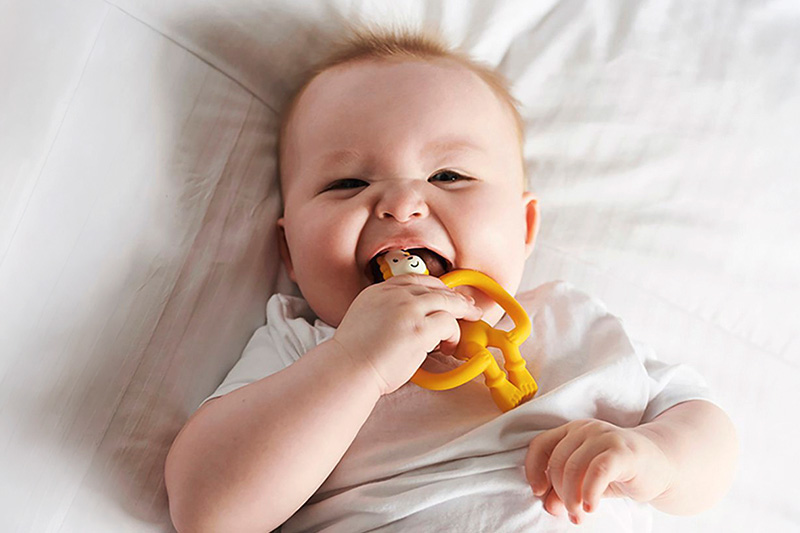 baby with baby teether monkey stick