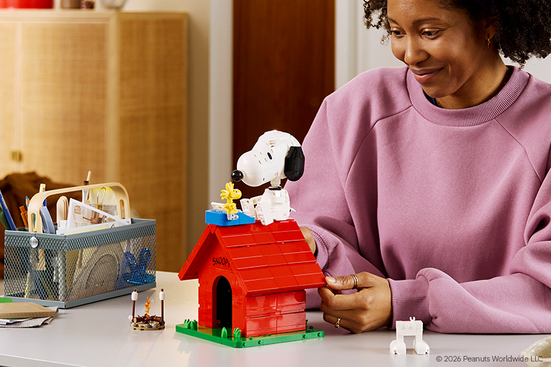 Adult LEGO Shop | Smyths Toys UK